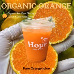 [ LIMITED ] Organic Orange juice ตัวจี้ดวิตามินซี