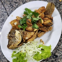 ปลานิล