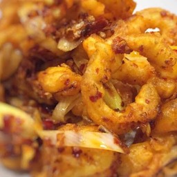 ปลาหมึกหยงเล่อ