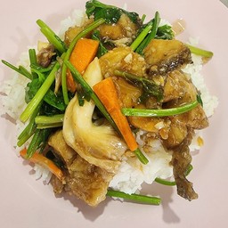 ปลากระพงผัดขึ้นไฉ่ ราดข้าว