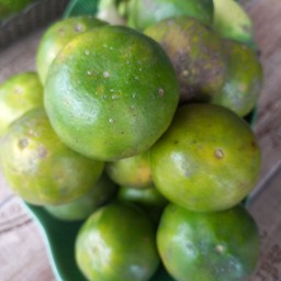 ส้ม.ปั่น.