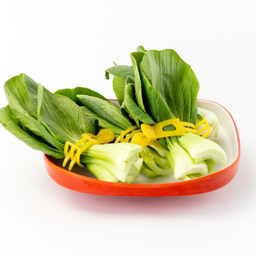 กวางตุ้ง