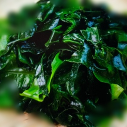 สาหร่ายวากาเม่ะ