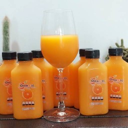 น้ำส้มคั้น By Kartoon พลีโน่โครงการ2