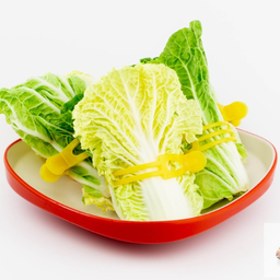 ผักกาดขาว