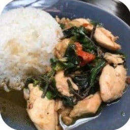 ข้าวกะเพราไก่