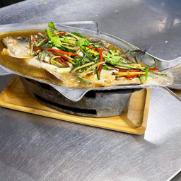 Steamed Sea Bass with Soy Sauce ปลากระพงนึ่งซีอิ้ว