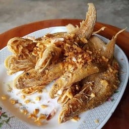ปลาเนื้ออ่อนทอดกระเทียม