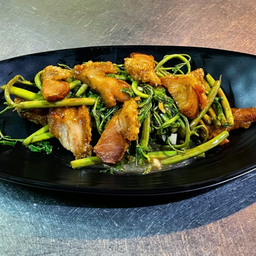 Mimosa with Pork Belly in Oyster Oil ผัดผักกะเฉดหมูกรอบ