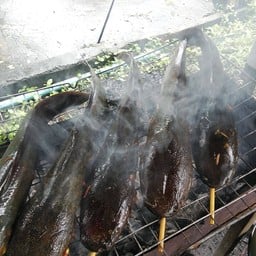 ปลาดุกย่าง