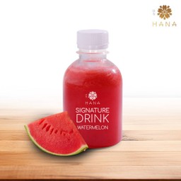 ICED WATERMELON (21019)