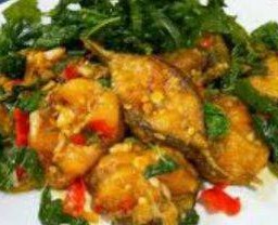 กระเพราปลาดุกทอดราดข้าว