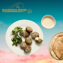 Falafel Plate (with 2 breads)