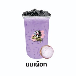 นมเผือก