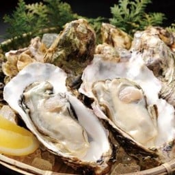 หอยนางรมเกาหลี