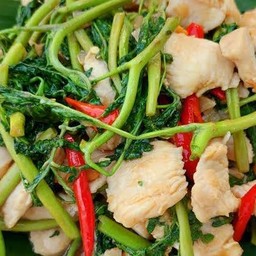 ผัดผักกระเฉดไก่ ราดข้าว