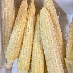 ข้าวโพด