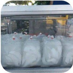 น้ำมะพร้าวดำเนินฯ100% แช่เย็น