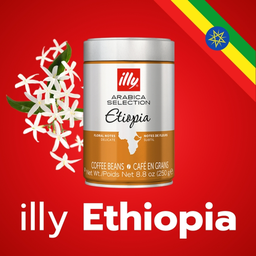 รู้จักกับ illy Ethiopia│Fresh and fragrant from the coffee origin│Single Origin