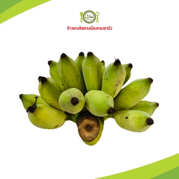 กล้วยน้ำว้า