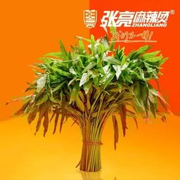 ผักบุ้ง Chinese morning glory 空心菜