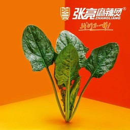ปวยเล้ง Spinach 菠菜