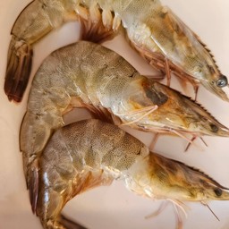 กุ้งขาวสด(1 ถาด 3 ตัว)