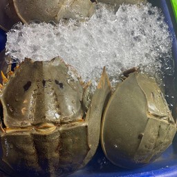 ยำไข่แมงดา