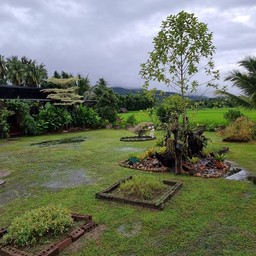 Cr. Paktee Mae Sariang Resort