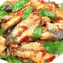 ปลาทูผัดโหระพา ราดข้าว