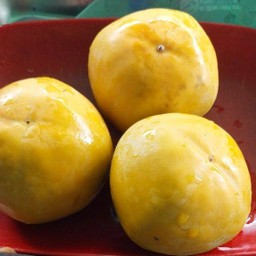 ลูกพลับ