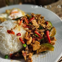 ข้าวราดไก่ผัดป่า