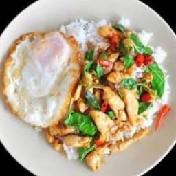 ข้าวกระเพราไก่