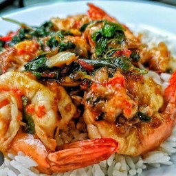 กระเพรากุ้ง