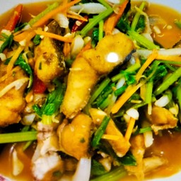 ปลาช่อนผัดขึ้นฉ่าย