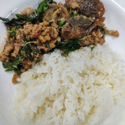 ข้าวกระเพราไข่เยี้ยวม้า