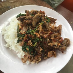 กระเพราเป็ดราดข้าว