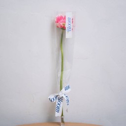 Single Gerbera