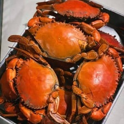 ตามสั่งน้องไอซ์