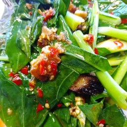 คะน้าหมูสับเจ