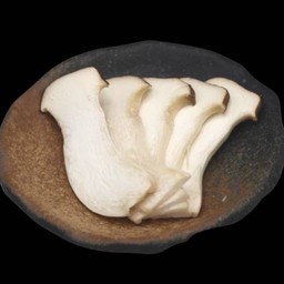 Bv6  เห็ดออรินจิ Oringi Mushroom 