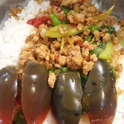 ข้าวกะเพราเยี่ยวม้าหมูสับ