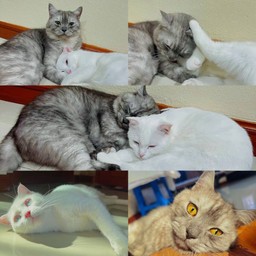 ทิปเลี้ยงลูก-เมียพ่อค้าค้าบ คุณลูกค้าแวะอ่านสักนิดนะค้าบ