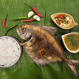 MENU_2932766Fk_1726924769