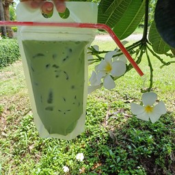 ชาเขียวเย็น