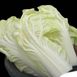 Bv1 ผักกาดขาว Chinese Cabbage 