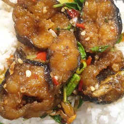 ข้าวกระเพราปลาดุกไข่ดาว