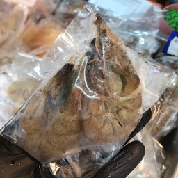 กุ้ง
