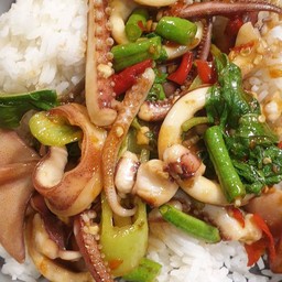 ข้าวกะเพราปลาหมึกไข่ดาว