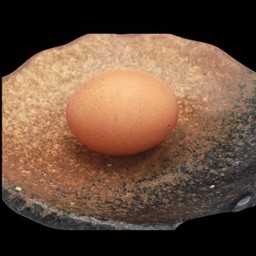 Bv12 ไข่ไก่ Egg
